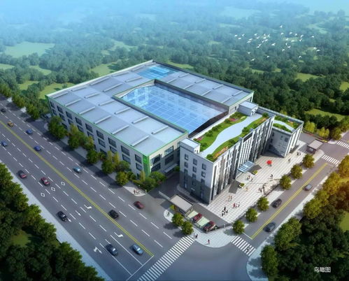 做苦蕎,我們是專(zhuān)業(yè)的